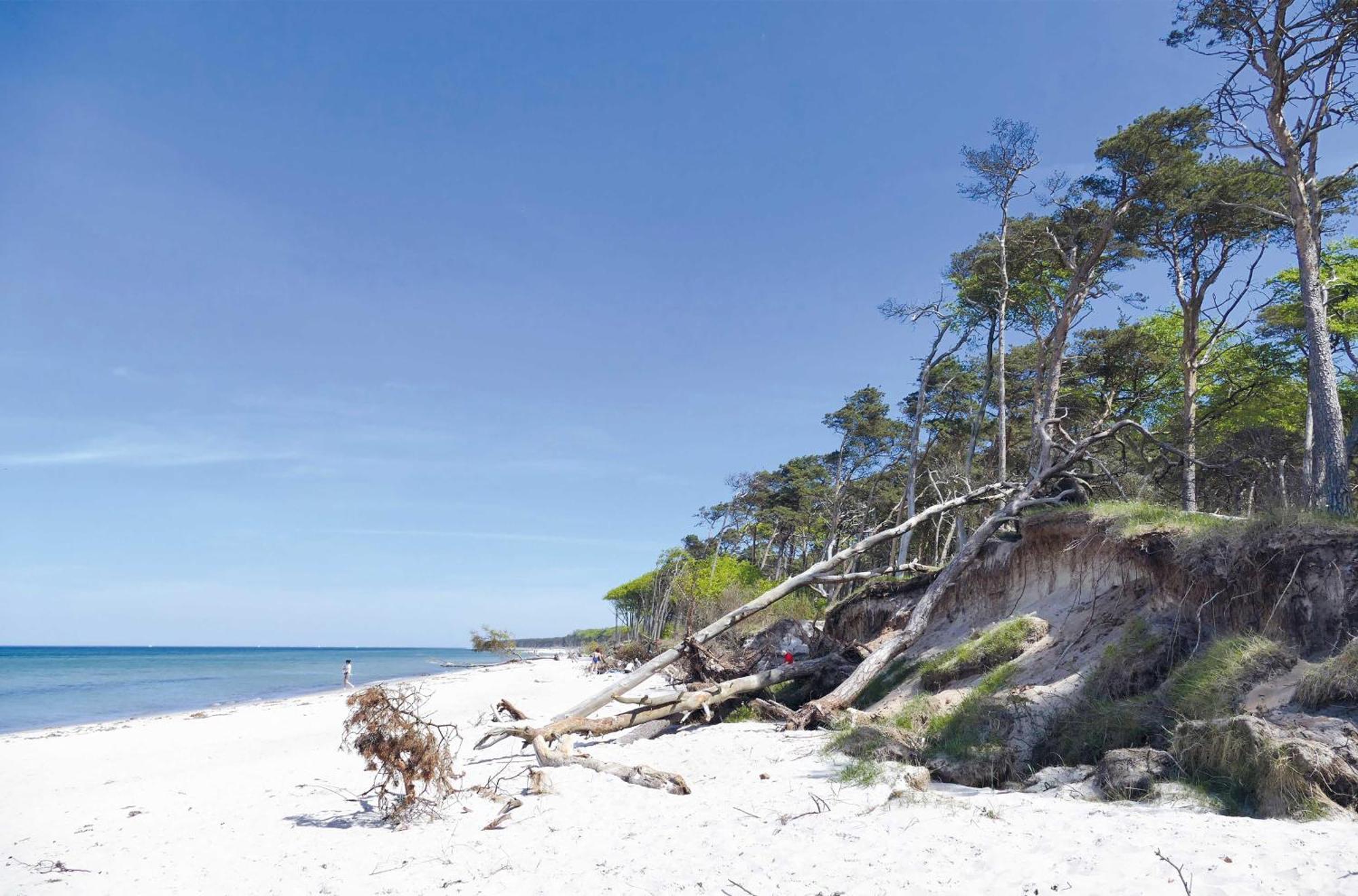 Seestern Am Ostseestrand Вустров Экстерьер фото